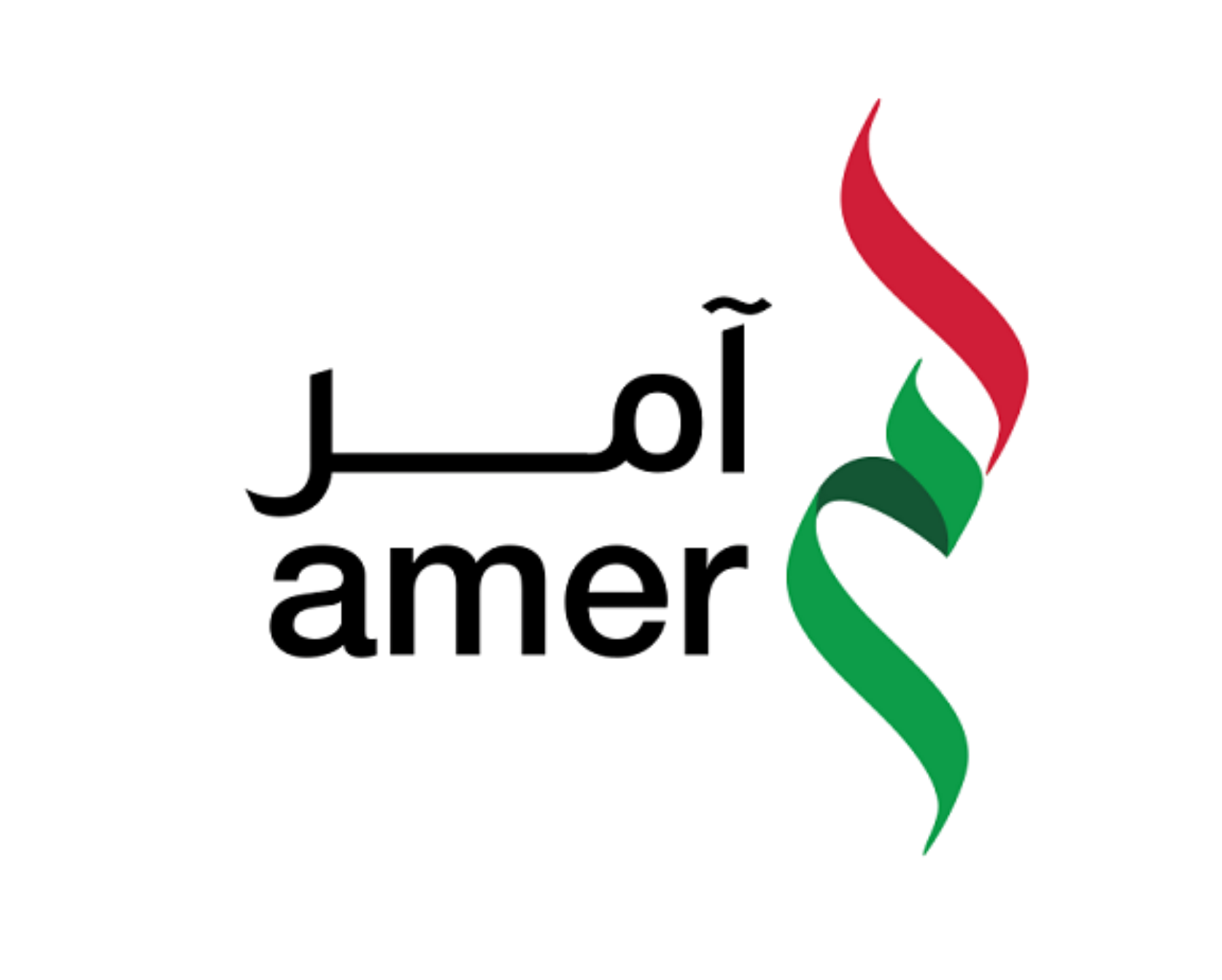 Amer_logo